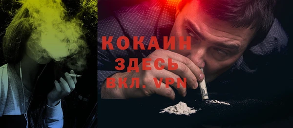 стафф Каменка