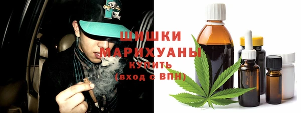 стафф Каменка