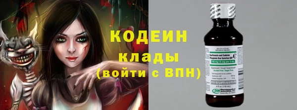 стафф Каменка