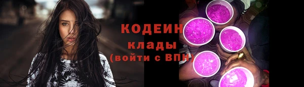 стафф Каменка