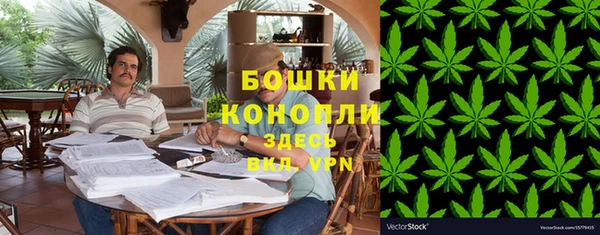 дживик Каменногорск