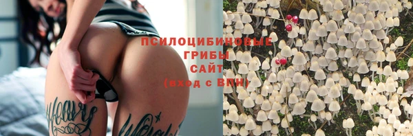 стафф Каменка
