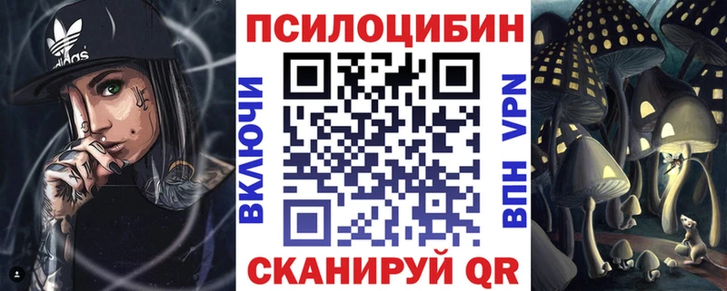 Купить где  Иваново  Псилоцибиновые грибы Psilocybine cubensis 